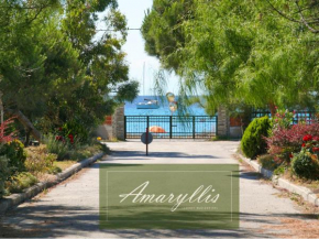 Гостиница Amaryllis Summer Maisonettes  Кассандра